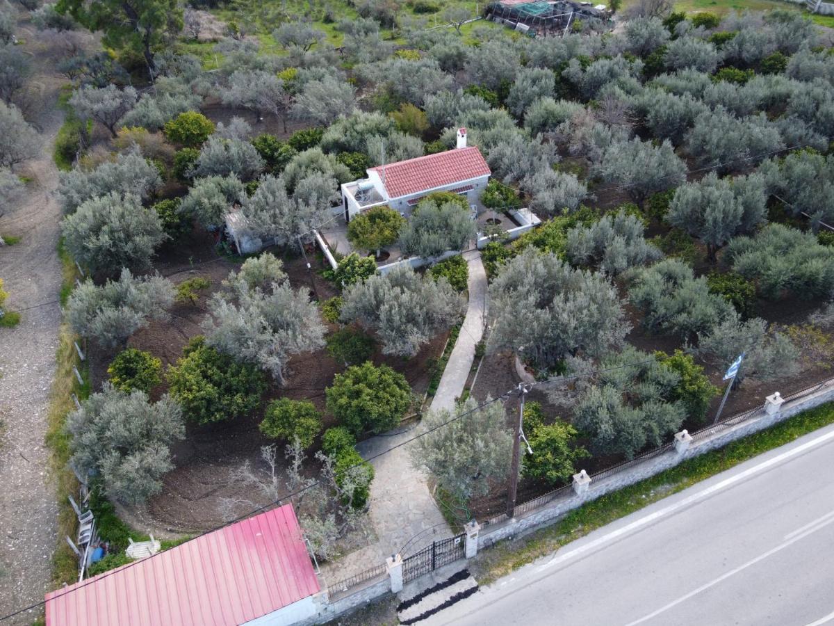 Villa Kavalino 科林比亚 外观 照片